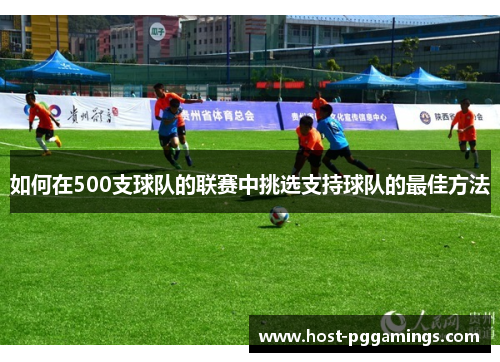 如何在500支球队的联赛中挑选支持球队的最佳方法