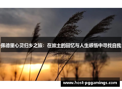 佩德里心灵归乡之旅：在故土的回忆与人生感悟中寻找自我