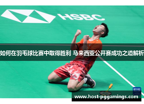 如何在羽毛球比赛中取得胜利 马来西亚公开赛成功之道解析