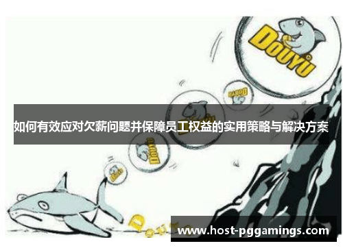 如何有效应对欠薪问题并保障员工权益的实用策略与解决方案