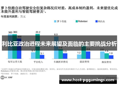 利比亚政治进程未来展望及面临的主要挑战分析