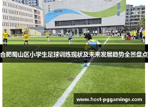 合肥蜀山区小学生足球训练现状及未来发展趋势全景盘点