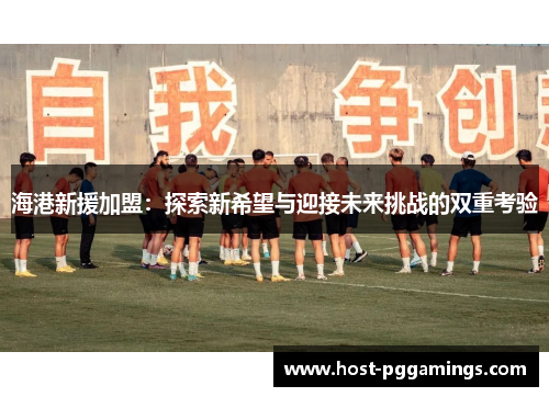 海港新援加盟：探索新希望与迎接未来挑战的双重考验