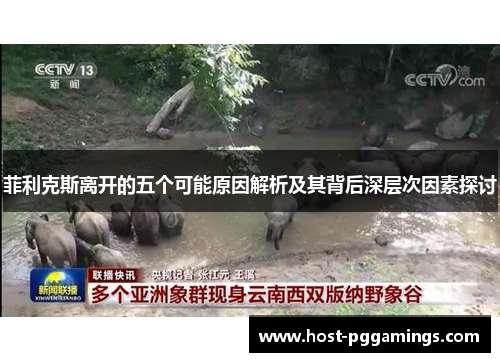 菲利克斯离开的五个可能原因解析及其背后深层次因素探讨