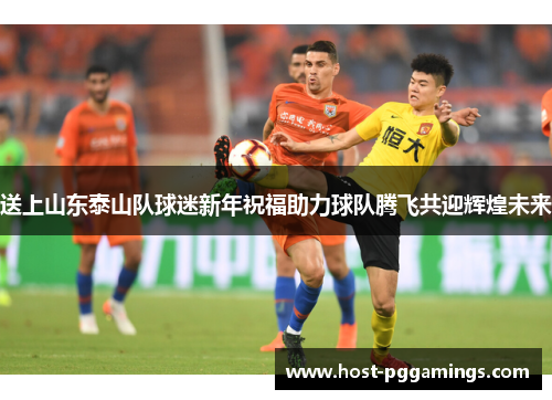 送上山东泰山队球迷新年祝福助力球队腾飞共迎辉煌未来