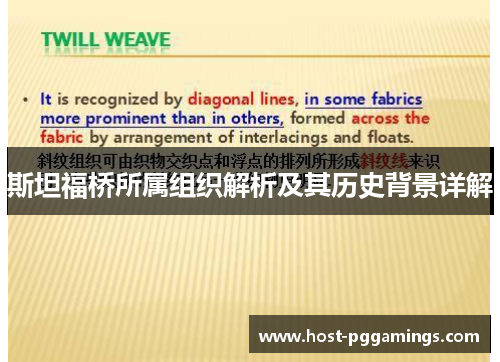 斯坦福桥所属组织解析及其历史背景详解