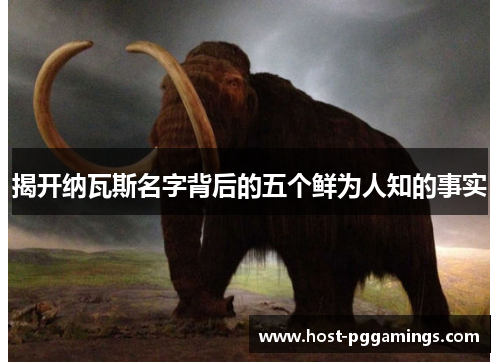 揭开纳瓦斯名字背后的五个鲜为人知的事实