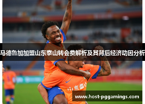 马德鲁加加盟山东泰山转会费解析及其背后经济动因分析