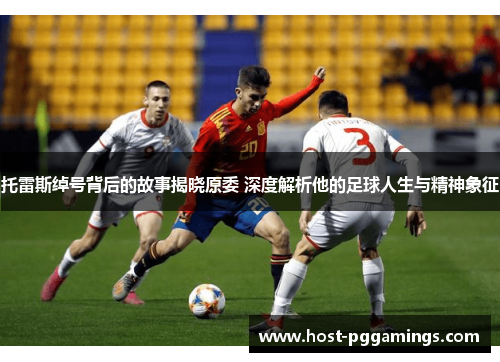 托雷斯绰号背后的故事揭晓原委 深度解析他的足球人生与精神象征