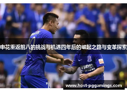 申花重返前八的挑战与机遇四年后的崛起之路与变革探索